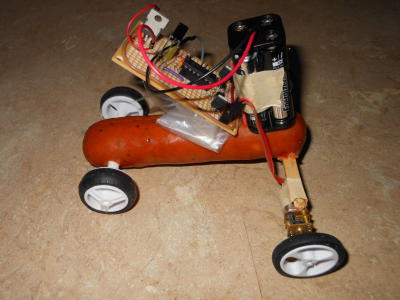 Remote controlled sausage car